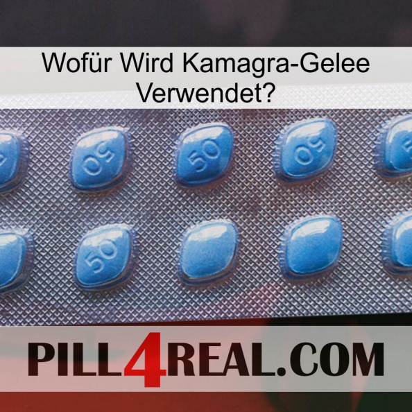 Wofür Wird Kamagra-Gelee Verwendetg viagra3